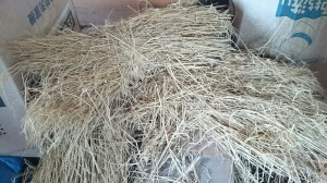 1495253720169　20170521かつおたたき炙り藁